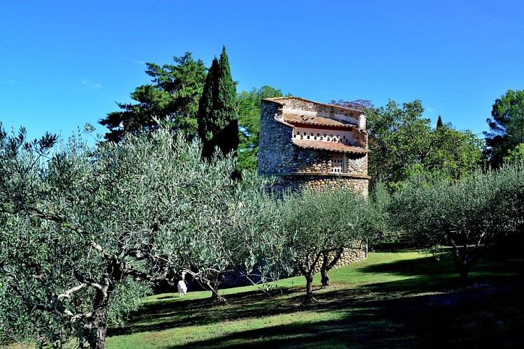 Découverte de la culture de l'olivier avec le Moulin Arizzi