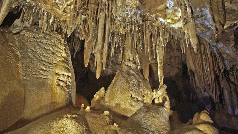 Billet - Visite de la grotte de Baume Obscure à 1h10 de Cannes