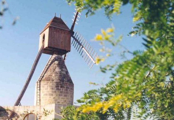 Moulin à vent du Puy d'Ardanne