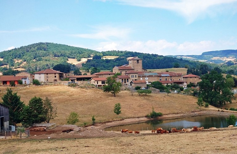Image du poi