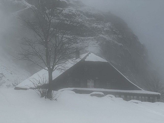 Snowshoe trail: Mayères Plateau Loop