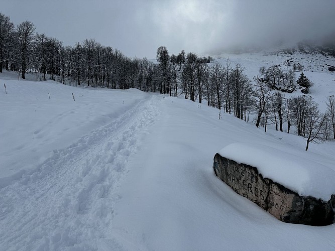 sentier raquettes : boucle de Mayères