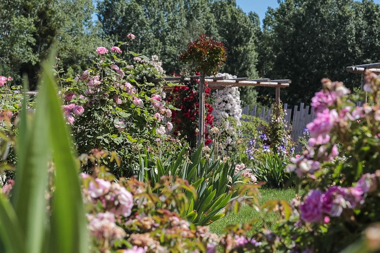 Parcs et jardin - Le jardin de Roses André Eve® - Chilleurs-aux-bois