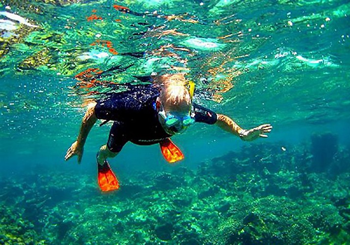 Excursion en mer avec randonnée palmée - à 20min de Cannes