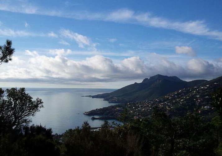 Randonnée dans le Massif de l'Estérel et apéritif local - départ à 10min de Cannes