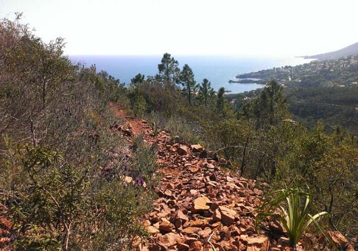 Randonnée dans le Massif de l'Estérel et apéritif local - départ à 10min de Cannes