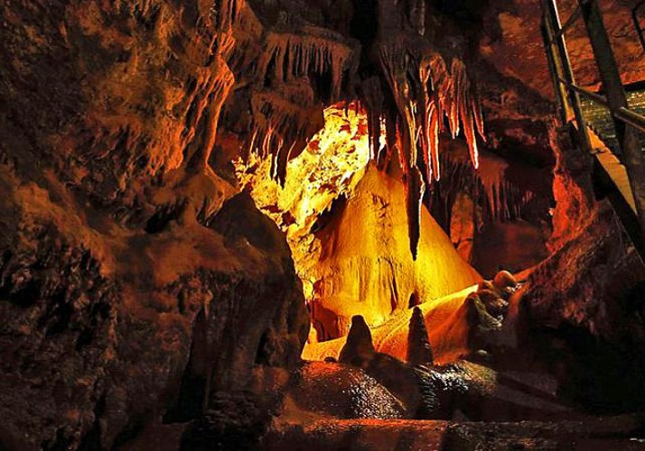 Visite de la grotte de Baume Obscure et promenade nocturne en forêt - à 1h10 de Cannes