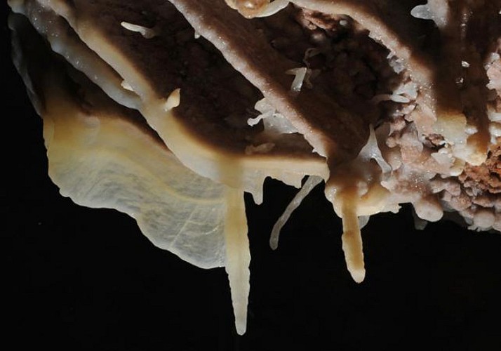 Visite de la grotte de Baume Obscure et promenade nocturne en forêt - à 1h10 de Cannes