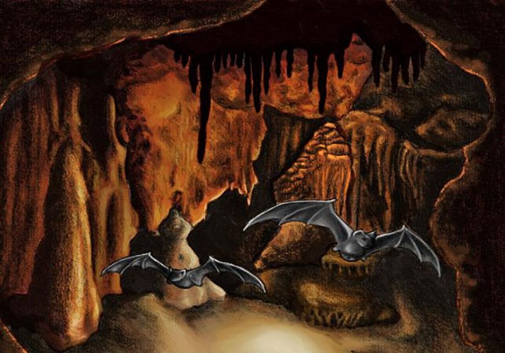 Visite de la grotte de Baume Obscure et promenade nocturne en forêt - à 1h10 de Cannes