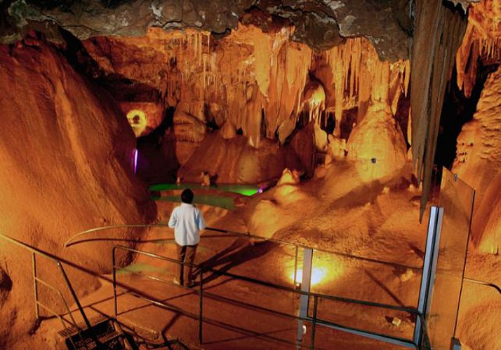 Visite de la grotte de Baume Obscure et promenade nocturne en forêt - à 1h10 de Cannes