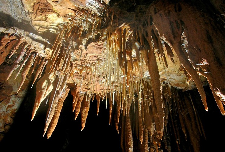 Visite de la grotte de Baume Obscure et promenade nocturne en forêt - à 1h10 de Cannes