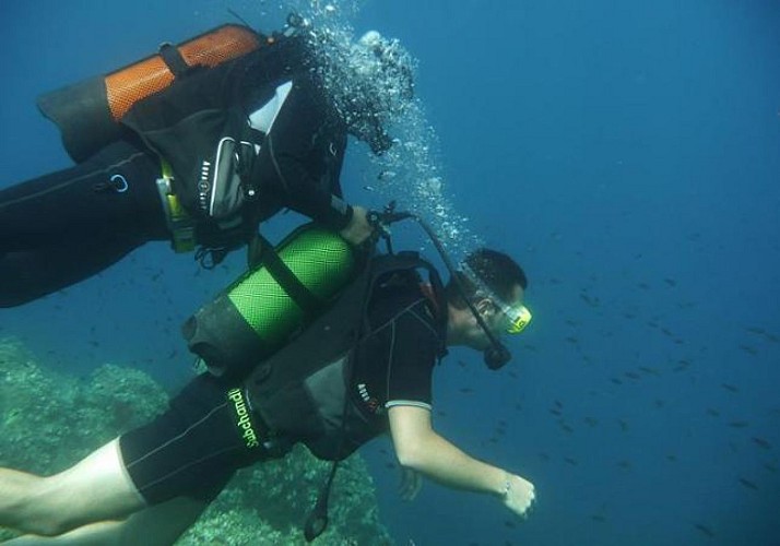 Initiation à la plongée sous-marine – à 20min de Cannes