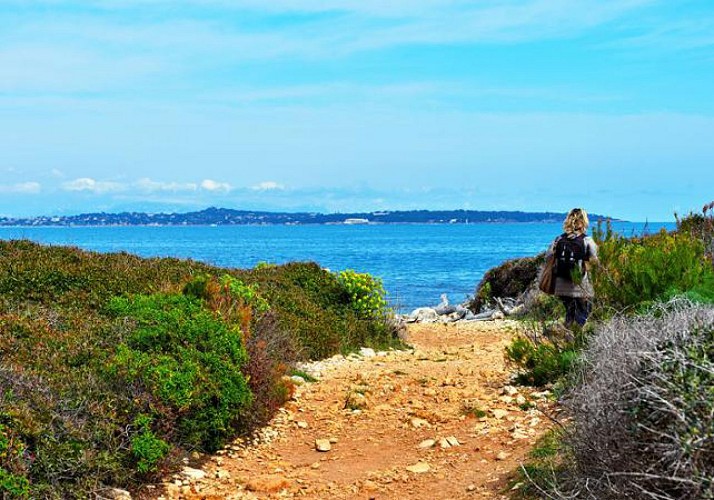 Return-Crossing to Sainte Marguerite Island – Departing from Cannes