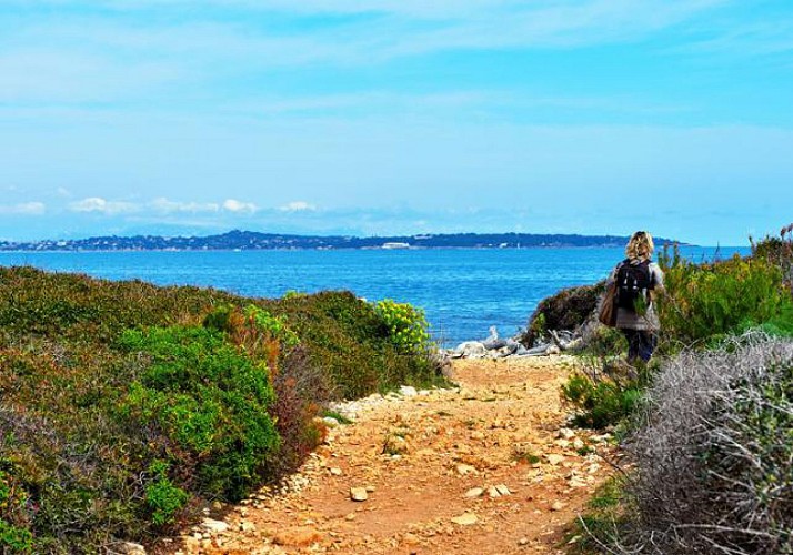 Traversée aller-retour vers l'île Sainte Marguerite - au départ de Cannes