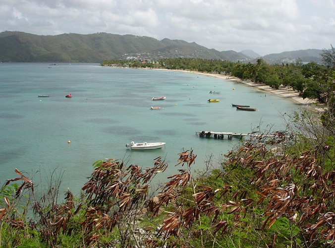 Randonnée en buggy sur la côte sud caraïbe de la Martinique - Au départ de Sainte-Anne
