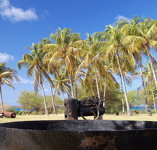 Randonnée en buggy sur la côte sud caraïbe de la Martinique - Au départ de Sainte-Anne