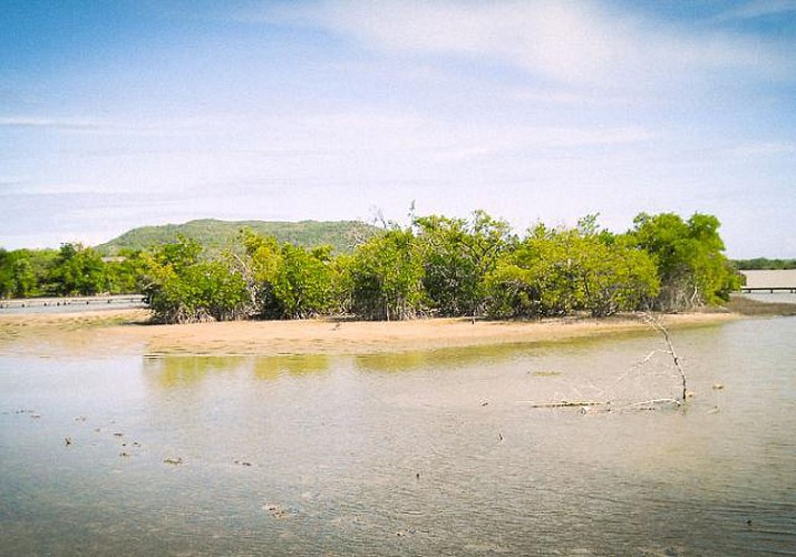 Randonnée en buggy sur la côte sud caraïbe de la Martinique - Au départ de Sainte-Anne