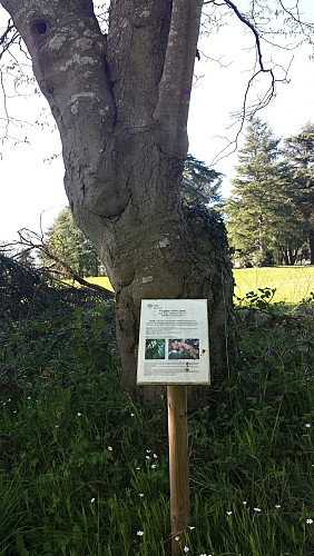 Château Saint-Lambert-la-Potherie / La Chaussée
