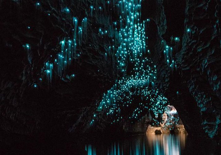 Billet Grottes de Waitomo