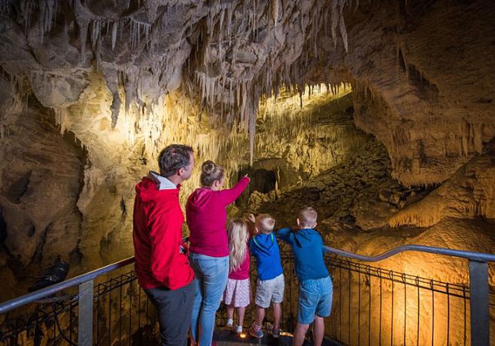 Billet Grottes de Waitomo