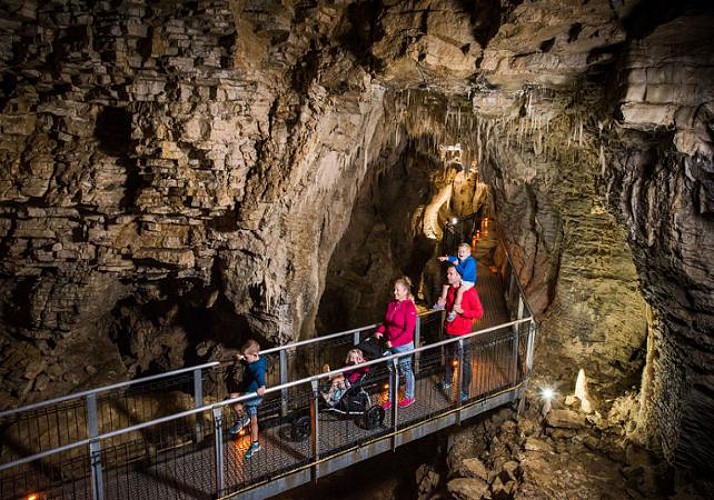 Billet Grottes de Waitomo