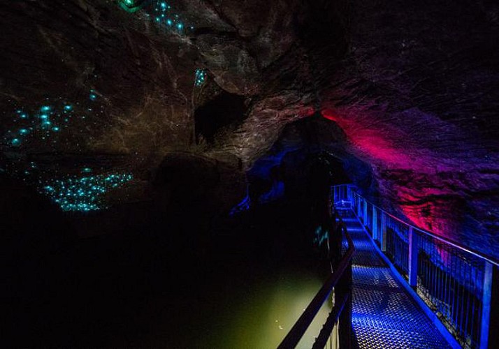 Billet Grottes de Waitomo