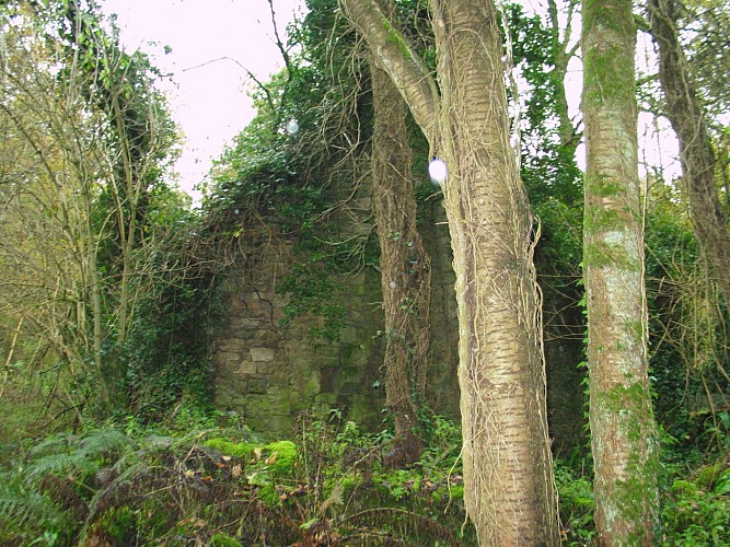 Les Ruines du Moulin de Cambourg