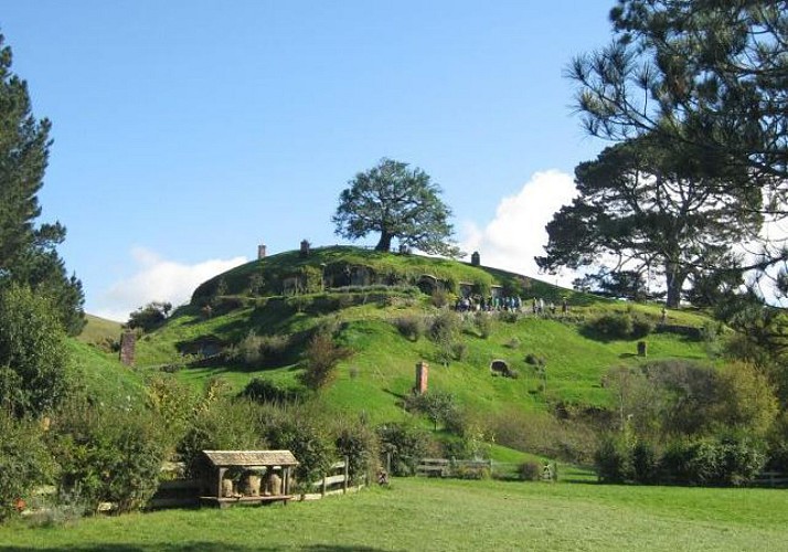 Billet Hobbitebourg - Le village mythique du Seigneur des Anneaux en Nouvelle-Zélande