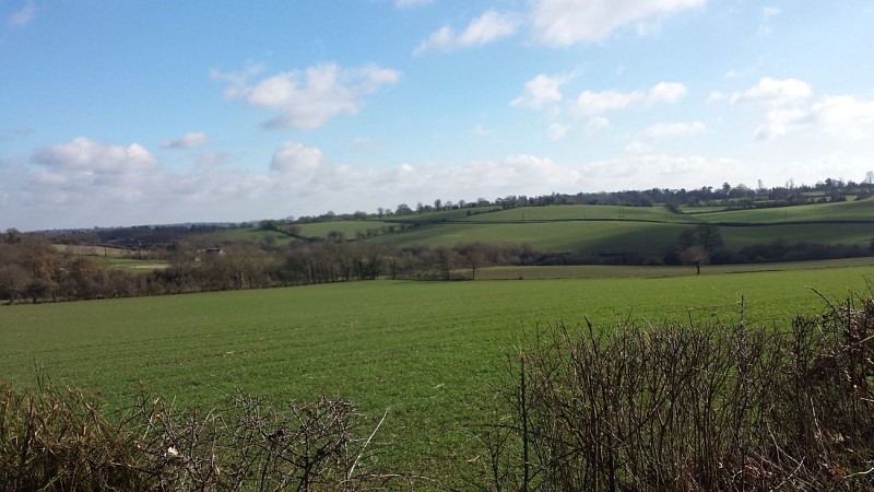 La Vallée du Choiseau 