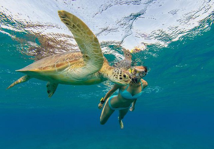 Scuba Diving around the Pidgeon Isles – Departing from Basse-Terre, Guadeloupe