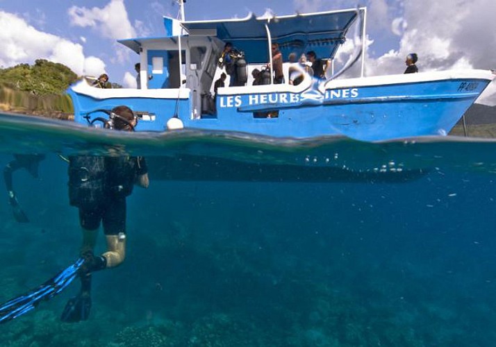 Plongée sous-marine autour des îlets Pigeon - Au départ de Basse-Terre, Guadeloupe