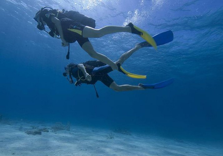 Plongée sous-marine autour des îlets Pigeon - Au départ de Basse-Terre, Guadeloupe