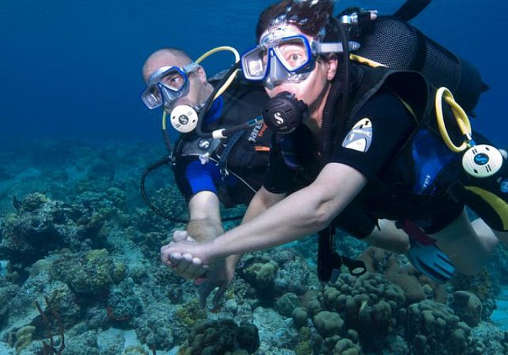 Baptême de plongée au cœur de la Réserve Cousteau - Au départ de Basse-Terre, Guadeloupe