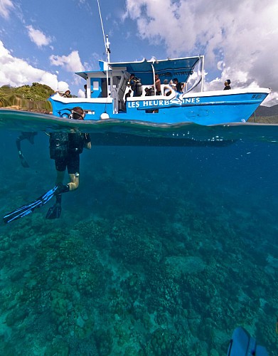 Baptême de plongée au cœur de la Réserve Cousteau - Au départ de Basse-Terre, Guadeloupe
