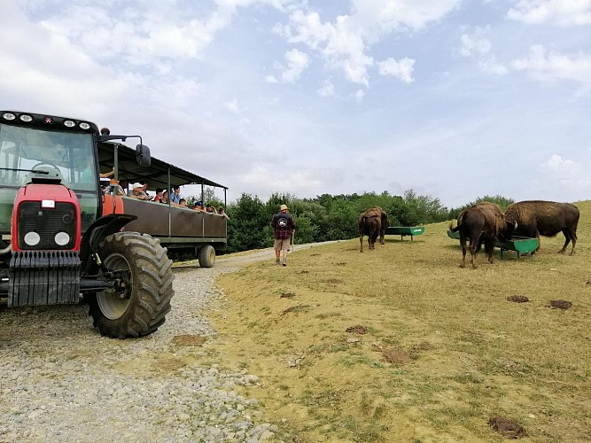 Parc Animalier de Lapenne par La Ferme aux Bisons