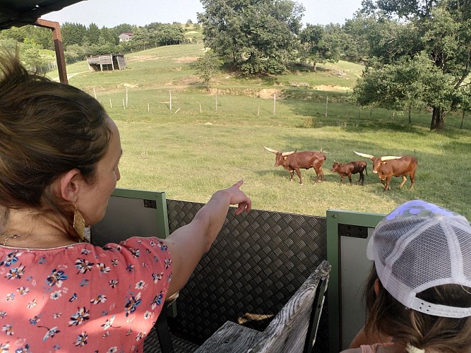 Parc Animalier de Lapenne par La Ferme aux Bisons