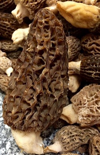 587D58E3-BFC1-4710-BEEE-C454F7E607F4