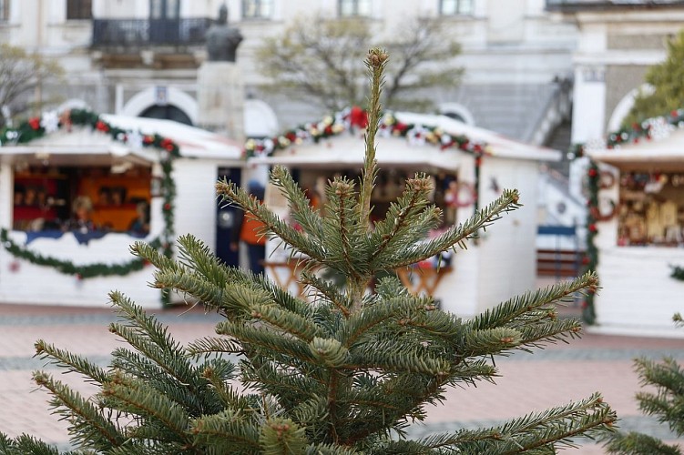 Christmas-tree-6879069_1280