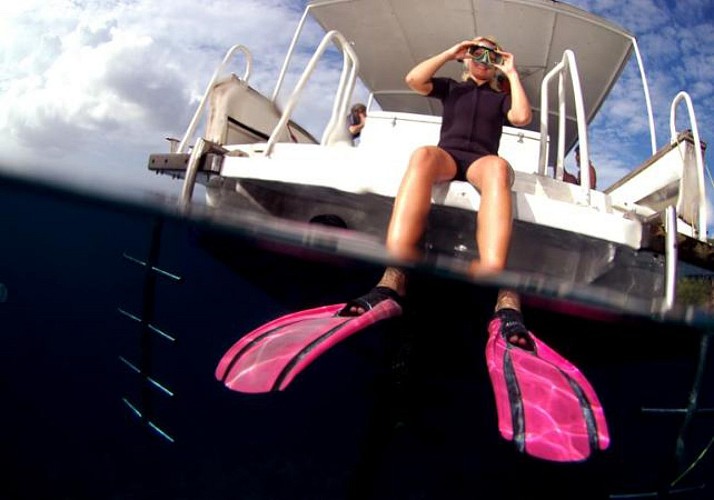 Plongée avec palmes, masque et tuba en Martinique - Au départ des Trois-Îlets