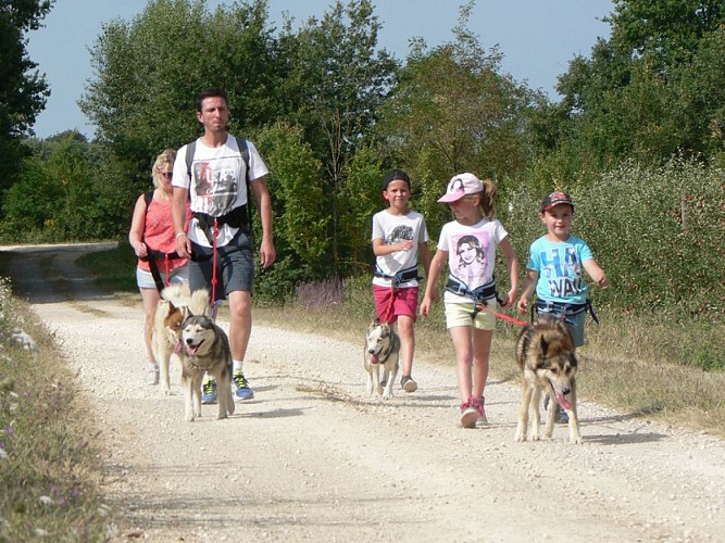 HUSKY DREAM - CHIENS DE TRAINEAU