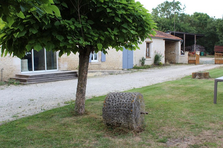 L'orchidée du Marais Poitevin