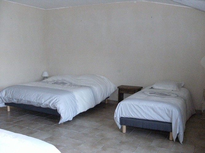 L'orchidée du Marais Poitevin