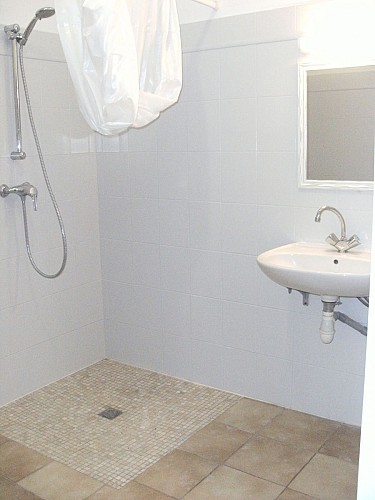 L'orchidée du Marais Poitevin