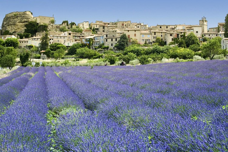 Day trip to the Lavender Fields and the Verdon Gorges