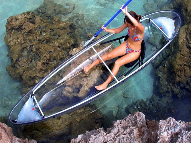 Crociera e giro in Kayak dallo scafo trasparente nelle mangrovie