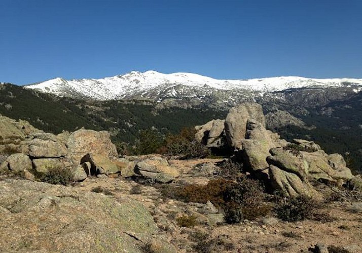 Wanderung in der Sierra de Guadarrama – ab Madrid
