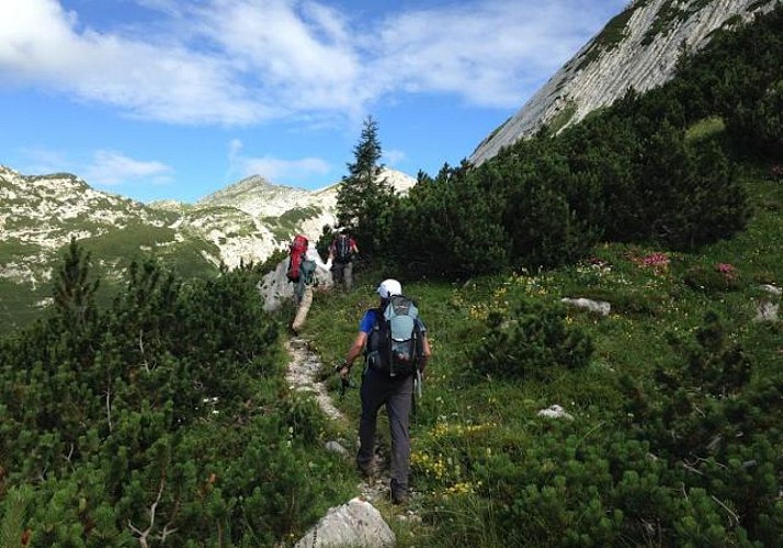 Excursión en Sierra de Guadarrama - Salida desde Madrid