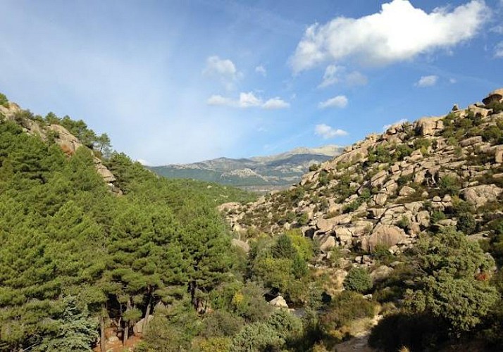 Excursión en Sierra de Guadarrama - Salida desde Madrid