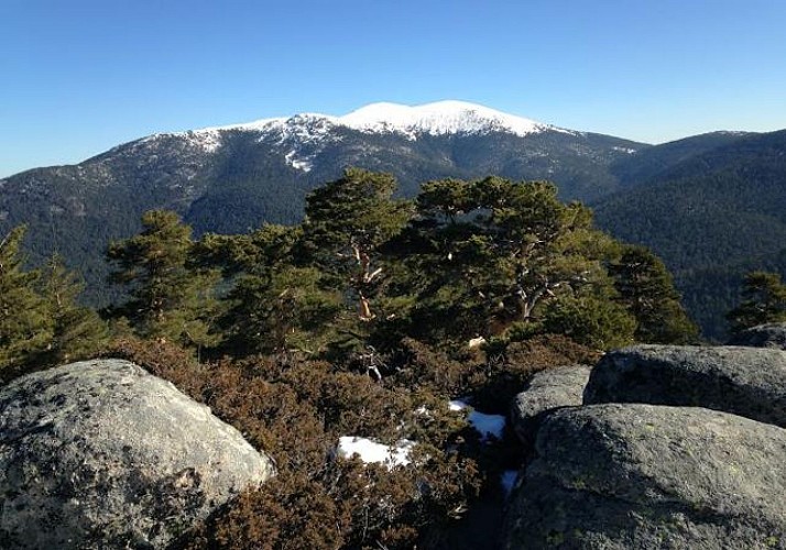 Excursión en Sierra de Guadarrama - Salida desde Madrid