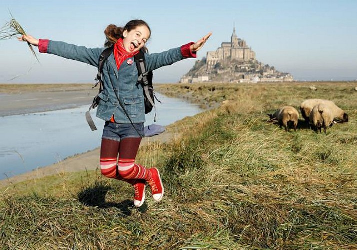Visite libre du Mont-Saint-Michel - Au départ de Paris